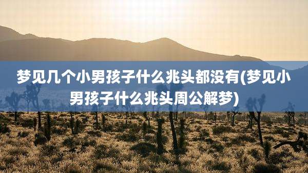 梦见几个小男孩子什么兆头都没有(梦见小男孩子什么兆头周公解梦)