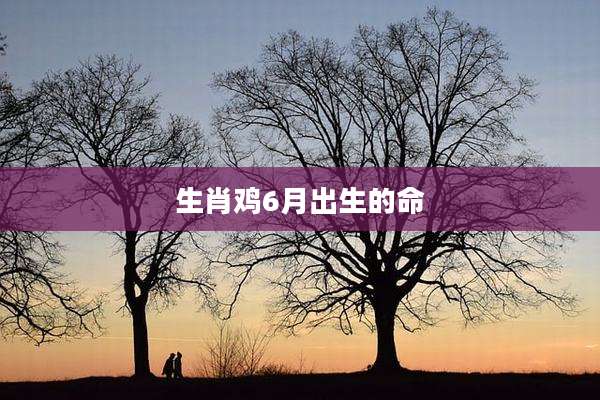 生肖鸡6月出生的命