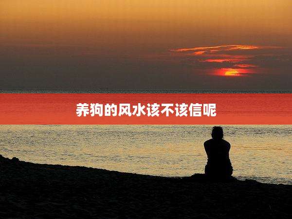 养狗的风水该不该信呢