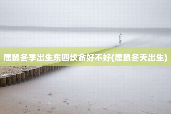 属鼠冬季出生东四坎命好不好(属鼠冬天出生)