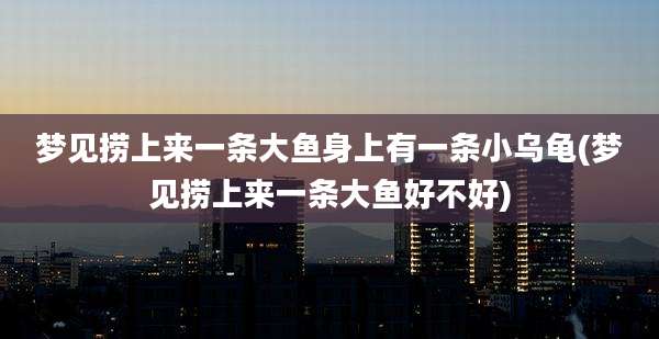 梦见捞上来一条大鱼身上有一条小乌龟(梦见捞上来一条大鱼好不好)