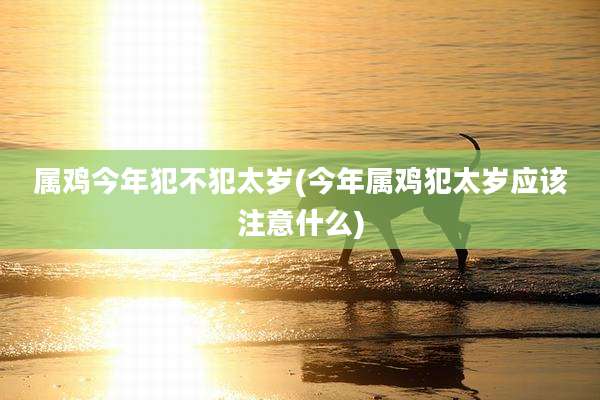 属鸡今年犯不犯太岁(今年属鸡犯太岁应该注意什么)