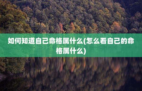 如何知道自己命格属什么(怎么看自己的命格属什么)