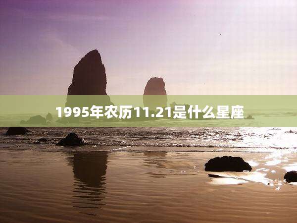 1995年农历11.21是什么星座