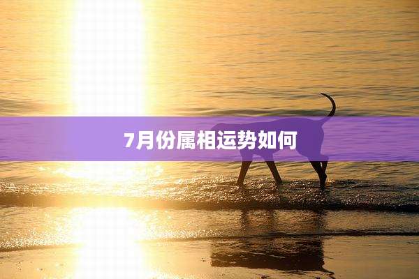 7月份属相运势如何