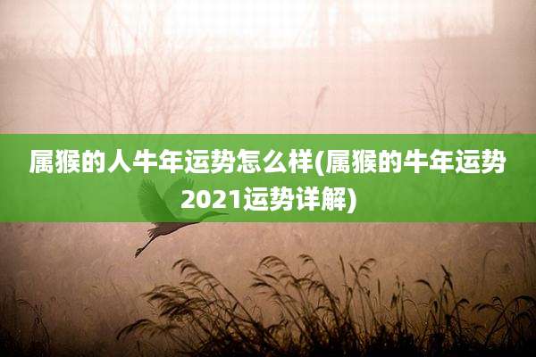 属猴的人牛年运势怎么样(属猴的牛年运势2021运势详解)