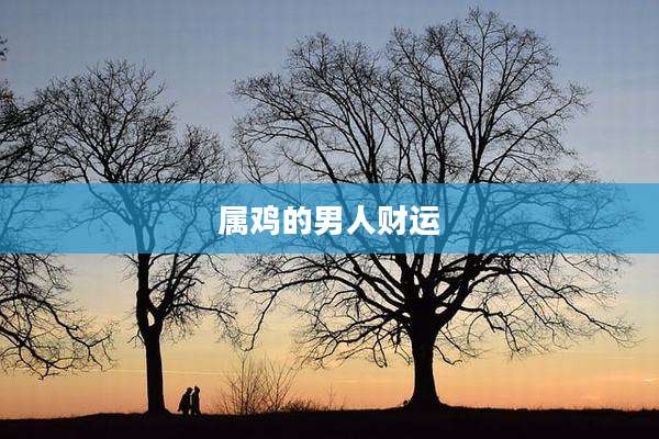 属鸡的男人财运