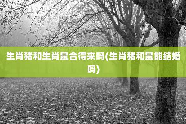 生肖猪和生肖鼠合得来吗(生肖猪和鼠能结婚吗)