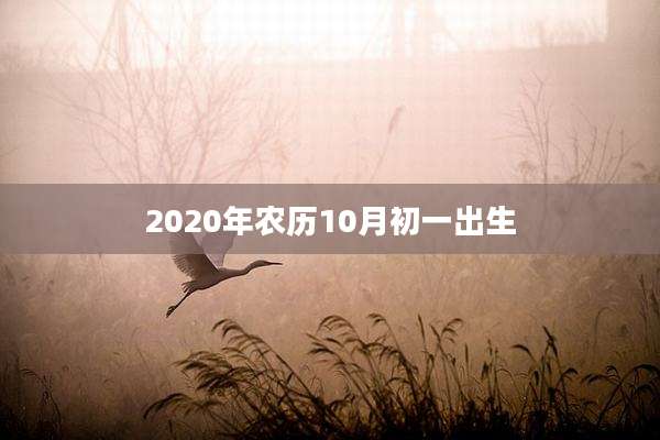 2020年农历10月初一出生