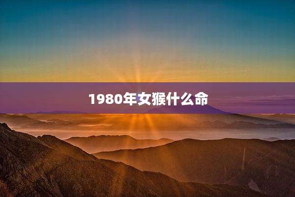1980年女猴什么命