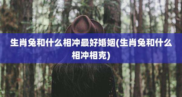 生肖兔和什么相冲最好婚姻(生肖兔和什么相冲相克)