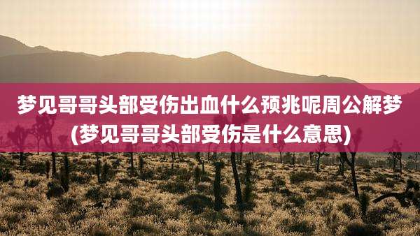 梦见哥哥头部受伤出血什么预兆呢周公解梦(梦见哥哥头部受伤是什么意思)