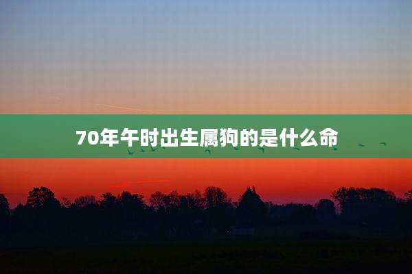 70年午时出生属狗的是什么命