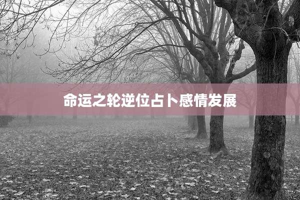 命运之轮逆位占卜感情发展