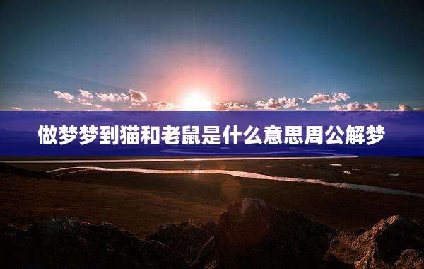 做梦梦到猫和老鼠是什么意思周公解梦