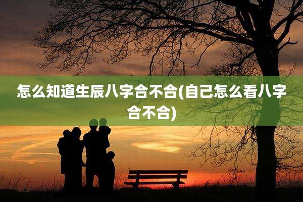 怎么知道生辰八字合不合(自己怎么看八字合不合)