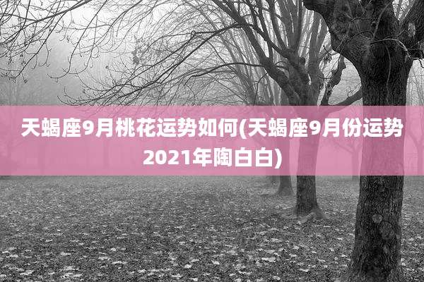 天蝎座9月桃花运势如何(天蝎座9月份运势2021年陶白白)