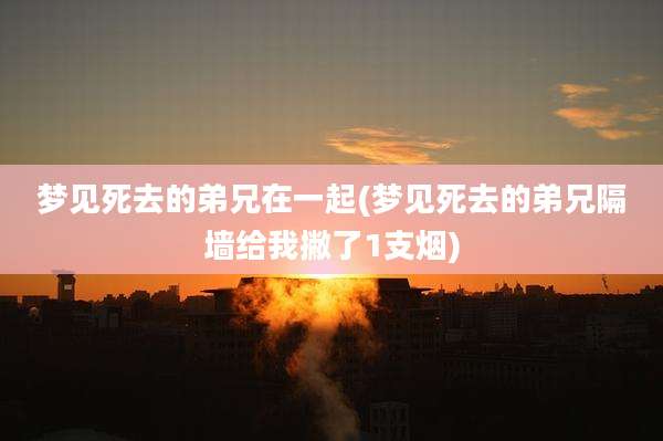梦见死去的弟兄在一起(梦见死去的弟兄隔墙给我撇了1支烟)