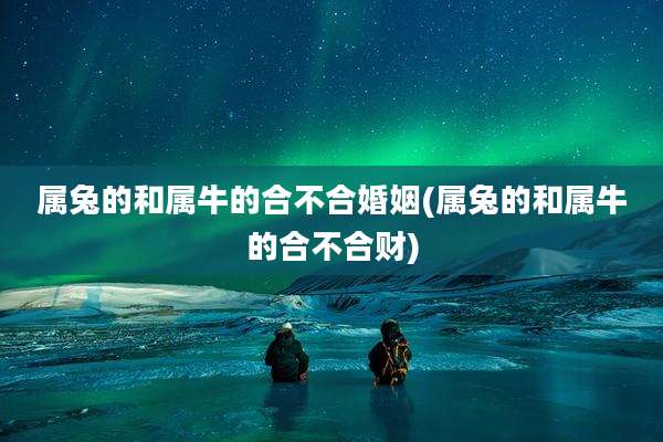 属兔的和属牛的合不合婚姻(属兔的和属牛的合不合财)