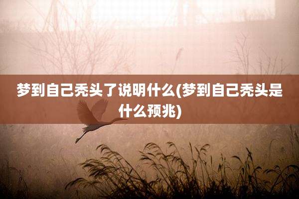 梦到自己秃头了说明什么(梦到自己秃头是什么预兆)