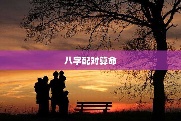 八字配对算命