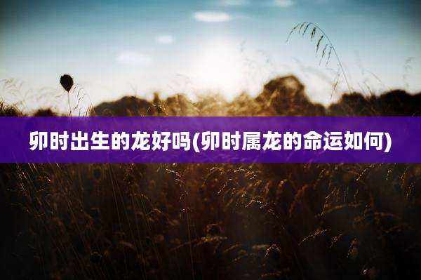 卯时出生的龙好吗(卯时属龙的命运如何)