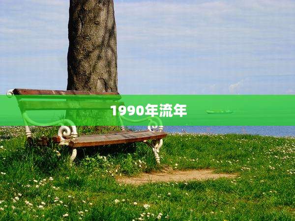 1990年流年