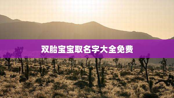 双胎宝宝取名字大全免费