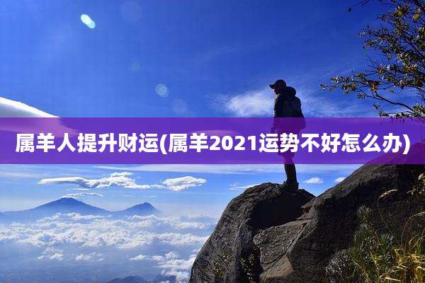 属羊人提升财运(属羊2021运势不好怎么办)