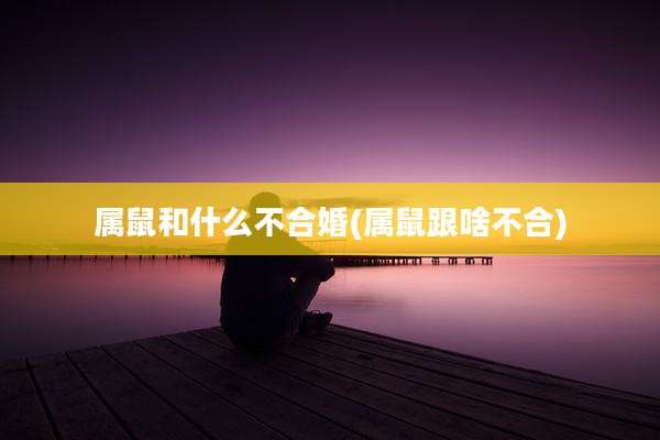 属鼠和什么不合婚(属鼠跟啥不合)