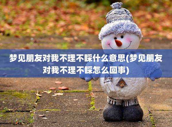 梦见朋友对我不理不睬什么意思(梦见朋友对我不理不睬怎么回事)