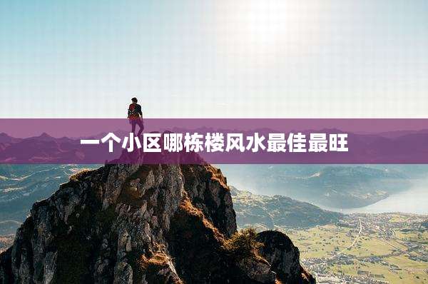 一个小区哪栋楼风水最佳最旺