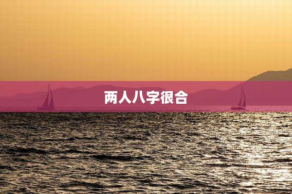 两人八字很合