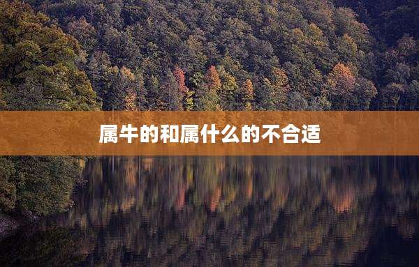 属牛的和属什么的不合适