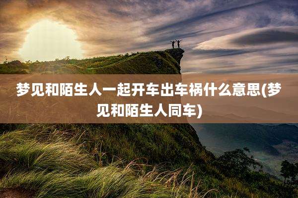 梦见和陌生人一起开车出车祸什么意思(梦见和陌生人同车)