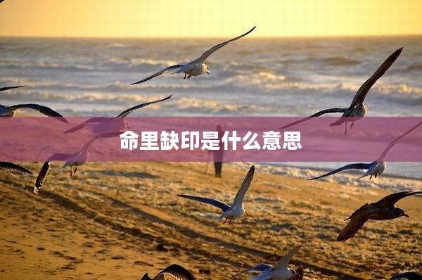 命里缺印是什么意思
