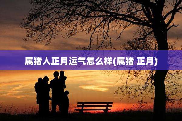 属猪人正月运气怎么样(属猪 正月)