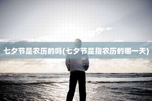 七夕节是农历的吗(七夕节是指农历的哪一天)