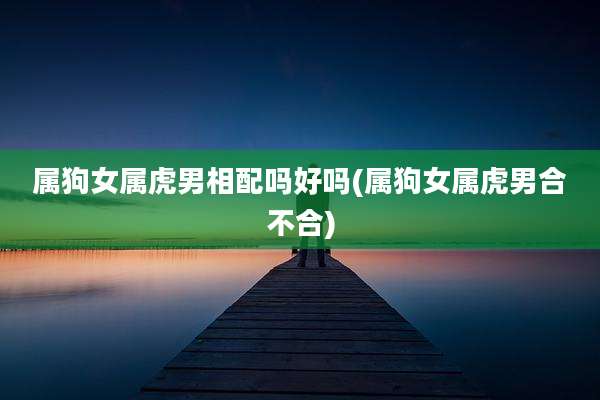 属狗女属虎男相配吗好吗(属狗女属虎男合不合)