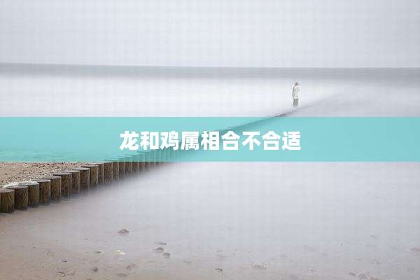 龙和鸡属相合不合适