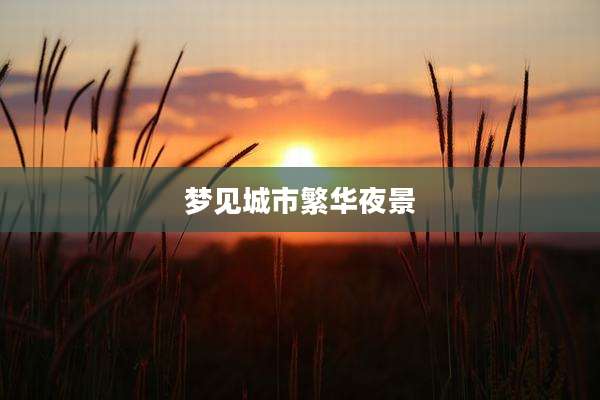 梦见城市繁华夜景