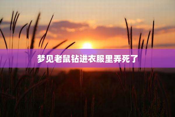 梦见老鼠钻进衣服里弄死了