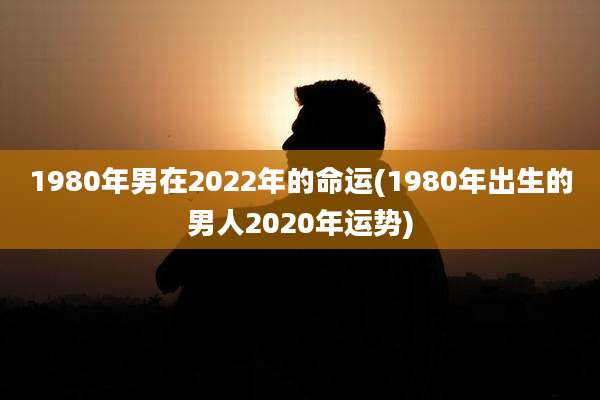 1980年男在2022年的命运(1980年出生的男人2020年运势)