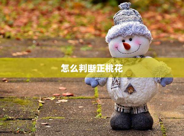 怎么判断正桃花