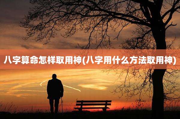 八字算命怎样取用神(八字用什么方法取用神)