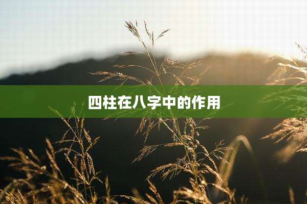 四柱在八字中的作用