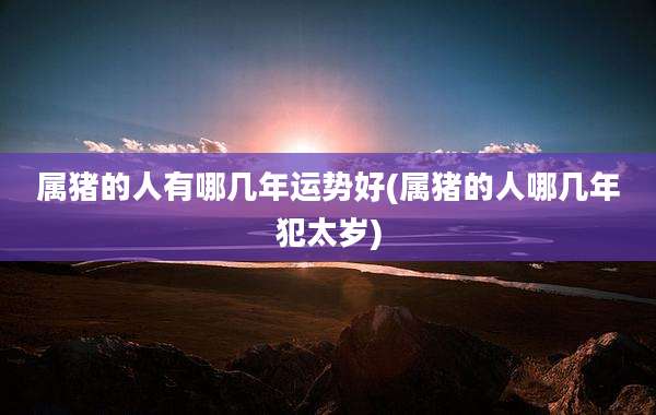 属猪的人有哪几年运势好(属猪的人哪几年犯太岁)
