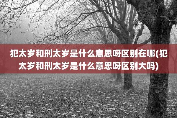 犯太岁和刑太岁是什么意思呀区别在哪(犯太岁和刑太岁是什么意思呀区别大吗)