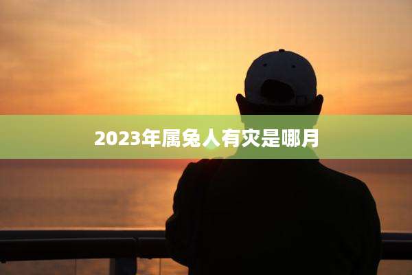 2023年属兔人有灾是哪月