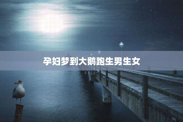 孕妇梦到大鹅跑生男生女